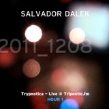 Day 065.03 : ReFresh - Salvador Dalek Live (2011_1208) at Tripnotic.fm... Hour 1