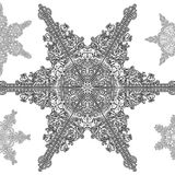 Translucid - Winter