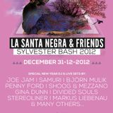 F.Zummo@Stereobar La Santa Negra & Friends SILVESTER BASH 13