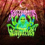 ♪♫♯ funky twighlight forest ♯♫♪