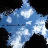 Ambient-Angel (117)