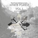 Bruno Mad - White Forest vol.1 (Once Upon a Forest Saga)