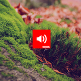 The Lounge Mix 001 - 03.26.2013