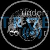Under the TRVE Color XV: It was a summer...(feat. Kalle) - UP AIR (19.11.2015)