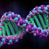 Scientists find Extraterrestrial genes in Human DNA