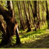 Zea in Dub - The Endless Summer