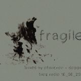 fragile - a mix by ohmicron and doppler