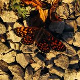 URBaN FoREST #miXtape 030 - LET iT BE (V2)