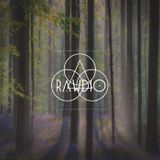 Deep Forest Sounds