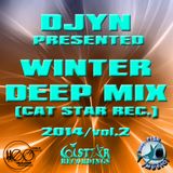 Djyn - Winter Deep Mix 2014 (Cat Star Rec.vol.2)