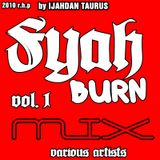 NOW AVAILABLE HERE!!! FYAH BURN MIX BY IJAHDAN TAURUS (2010) VARIOUS ARTIST.NOCOPYRIGHTS.SOLO PROMO