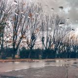 SOULeditor - Raindrops and falling leaves