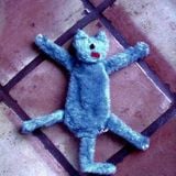 Funny Dead Cat With Broken Tail
