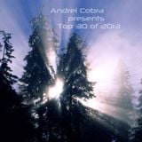 Andrei Cobra pres. Top 30 of 2013 - Live mixed