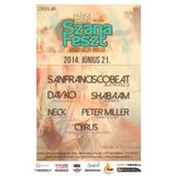 Peter Miller - Live @ Frisky Sound - Szanafeszt 2014 Warm Up Set before Davko