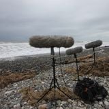 "I am here", an exploration through Field Recordings