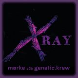 morke b2b genetic.krew - X-RAY
