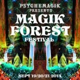 Mixmaster Morris @ Magik Forest Festival pt1