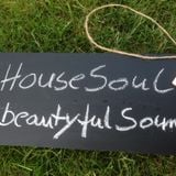 HouseSoulastic
