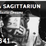 A Sagittariun - Electronic Explorations 341