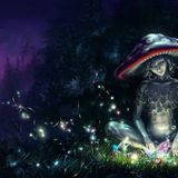 Bretter-Kobold&Elfe im Epizentrum