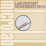 Lab Report November 2013