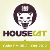Deep House Cat - Gabz FM 96.2 Botswana - 96 Minute Mix - October '12
