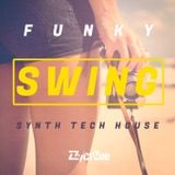 Funky Swing - Synth Tech House Mix 2012