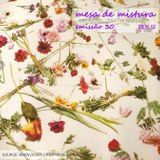 Mesa de Mistura #30 (05/11/2012)