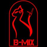JSando Pres Deep Soul Duo - B-MIX Anniversary
