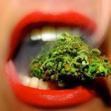 Summer Chill Hip Hop