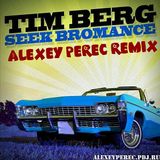 Tim Berg - Seek Bromance(Alexey Perec Remix)