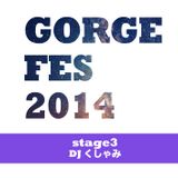 DJ くしゃみ - Gorge mix 2014 -GORGE FES 2014