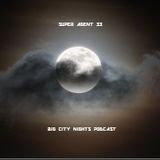 Big City Nights 040