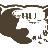 The Bearunderground Show With Guest Killer Bob