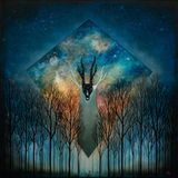 ~Druids°Progressive°Lesson~