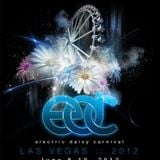 Nicky Romero - Live @ Electric Daisy Carnival Las Vegas (USA) 2012.06.09.