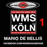 Warehouse Club-WMS-PARTYMIX Teil.1 - Mario de Bellis - We are Children of the 90´s