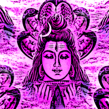 Shiva's Trap House