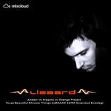 Andain vs Fragma vs Orange Project - Tocas Beautiful Miracle Things (LIZAARD 12PM Extended Bootleg)