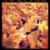 BamaLoveSoul Presents – FALL…in