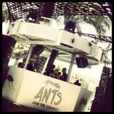 MAAYAN NIDAM / Live broadcast from Ants at Ushuaia / 22.06.2013 / Ibiza Sonica
