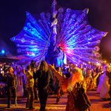 Inphiknight @ Fusion Festival 2015 @ Ruigoord Stage