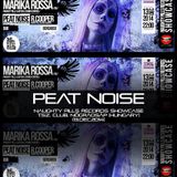 Peat Noise @ NAUGHTY PILLS RECORDS Showcase, T.SZ. Club, Nógrádsáp (Hungary) (13.DEC.2014)