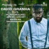David Granha - Pioneer DJ's Playground