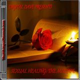 DJ Digital Dave Presents Sexual Healing: The Mixtape