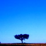 janaury podcast