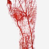 got acid in my veins