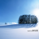 Eugene Galin - Burst in winter serenity.