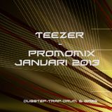 TEEZER - Promomix Januari 2013 (dubstep-trap-dnb)